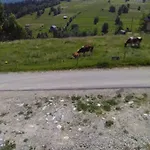 Kwatera prywatna Noclegi Brzegi Brzegi (Tatra)