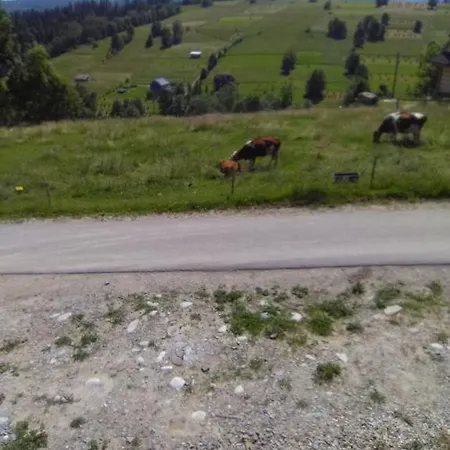 Rum i privatbostad Noclegi Brzegi Brzegi (Tatra)