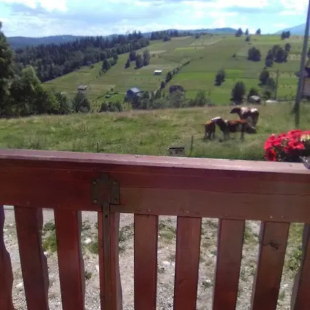 Homestay Noclegi Brzegi Brzegi (Tatra)