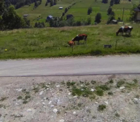 Privat bolig Noclegi Brzegi Brzegi (Tatra)