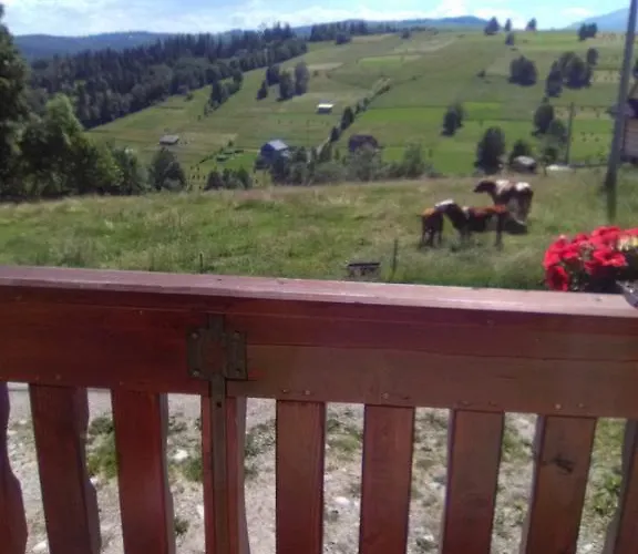 Pansiyon Noclegi Brzegi Brzeg