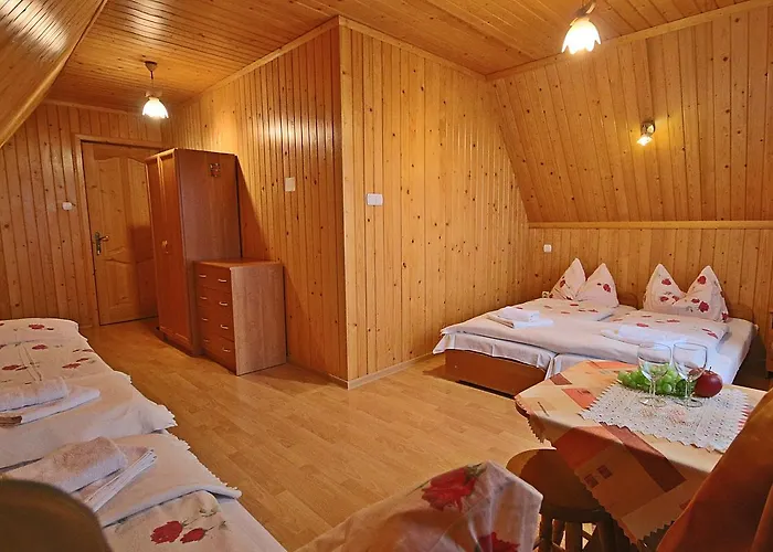 Pansiyon Noclegi Brzegi